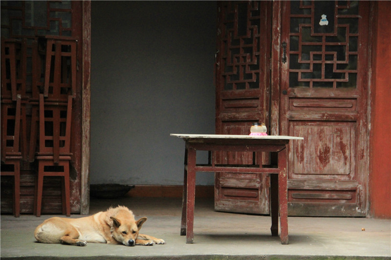 1433993179366845.jpg 1433993179366845.jpg