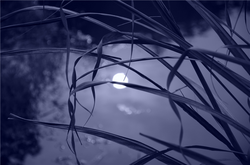 1433993168280997.jpg 1433993168280997.jpg